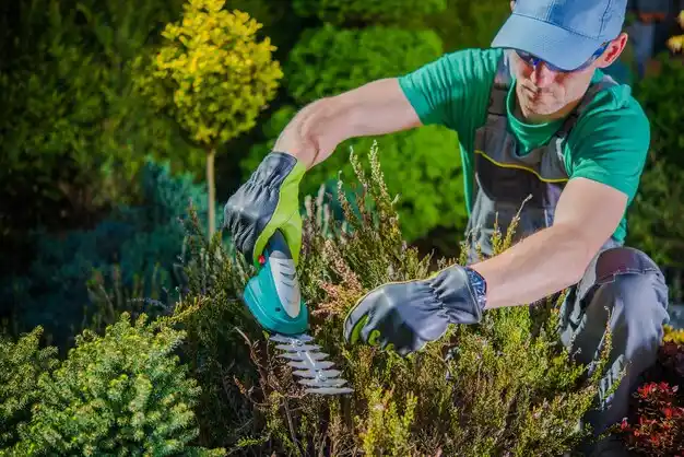 landscaping services Belle Chasse